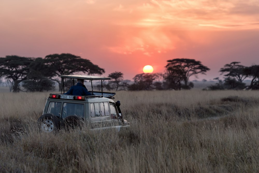 Kenya Safari & Coast