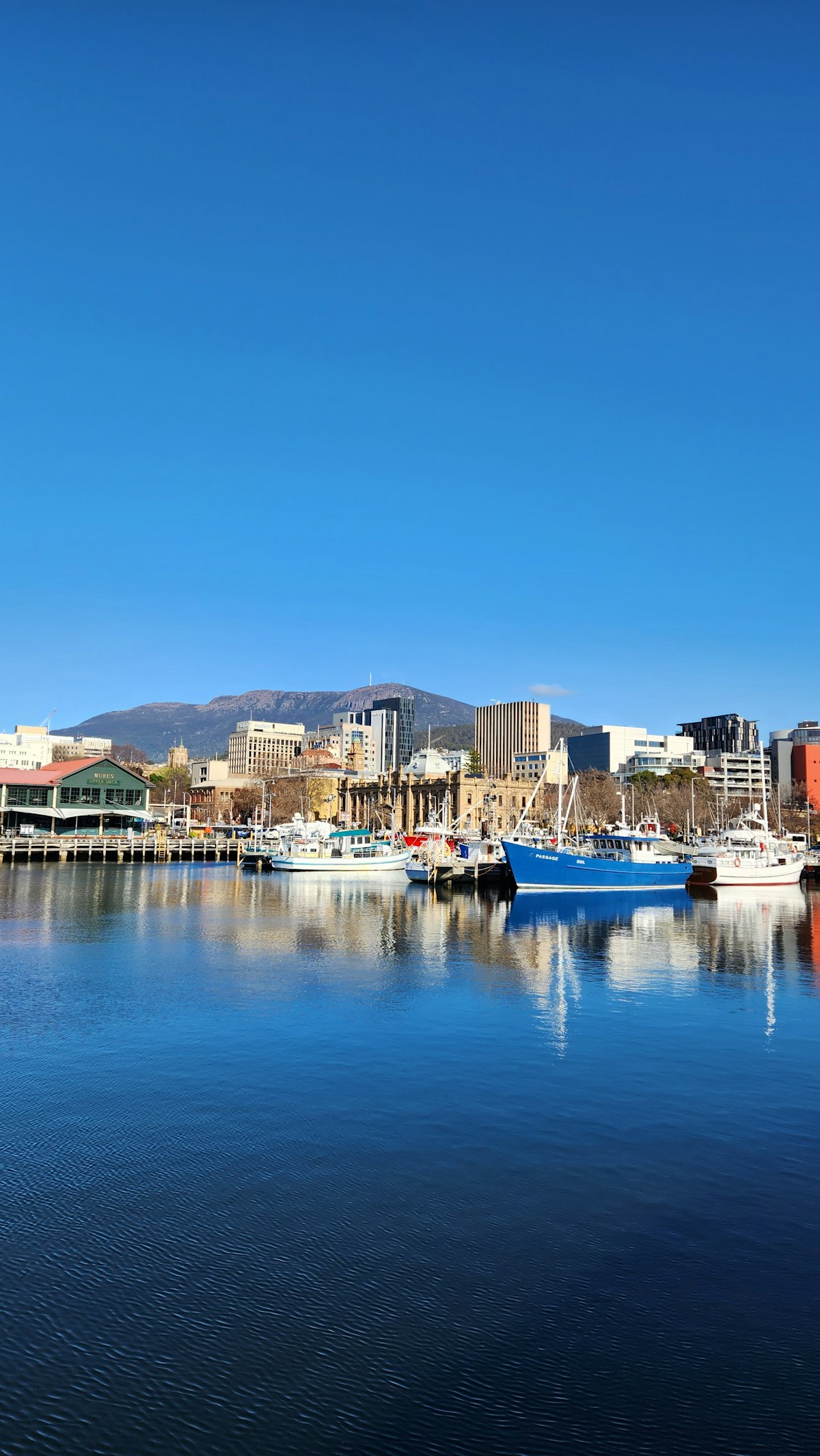 Hobart Harbour & MONA