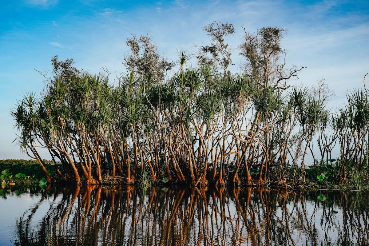 Kakadu & Top End Discovery
